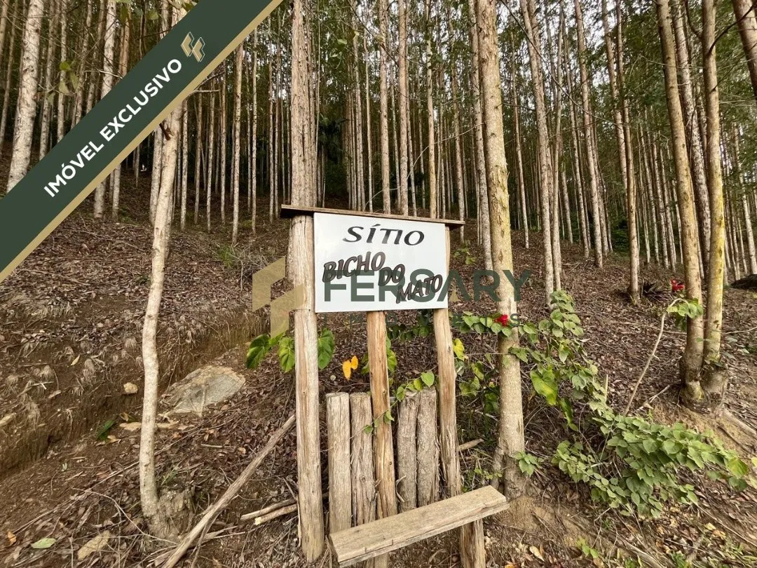 Lindo sitio na Estrada das Areias com visão panorâmica extraordinária. - foto 1