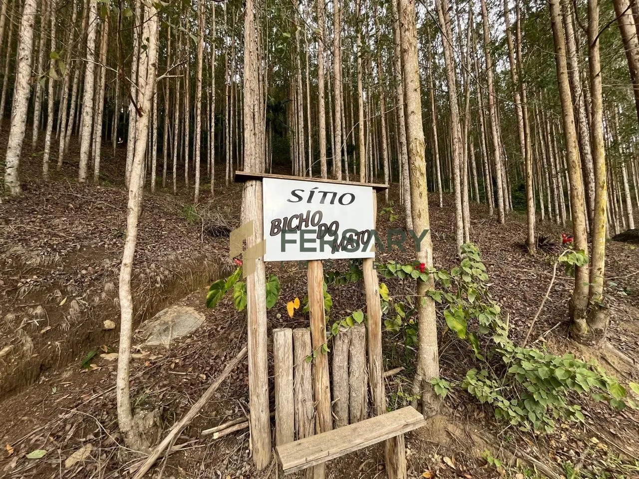Lindo sitio na Estrada das Areias com visão panorâmica extraordinária. — foto 2