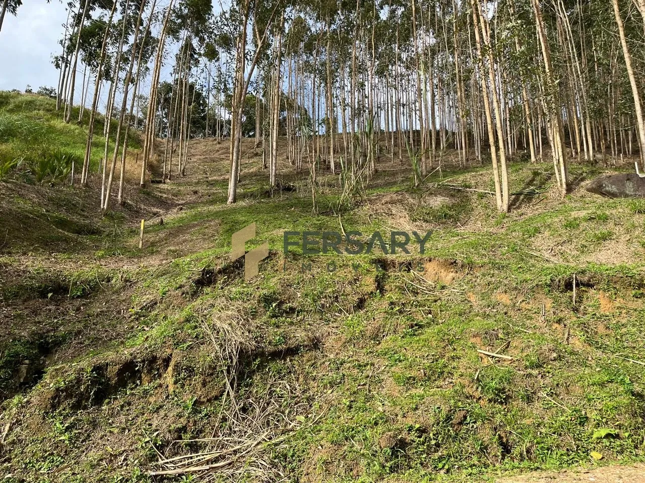 Lindo sitio na Estrada das Areias com visão panorâmica extraordinária. — foto 6