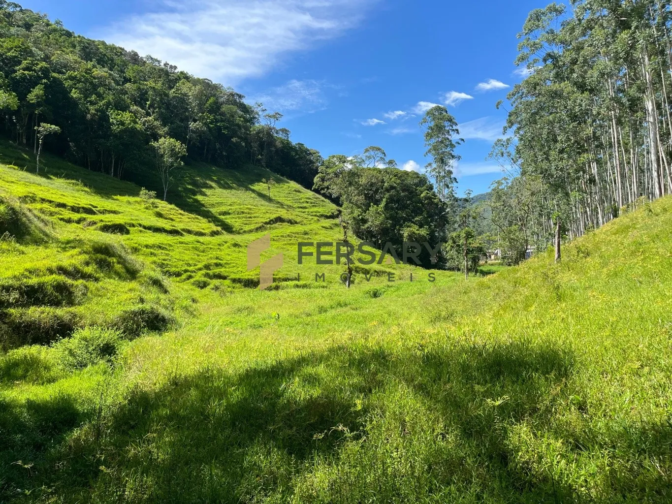 Sítio na cidade de Rodeio com frente para a BR 470! - foto 1