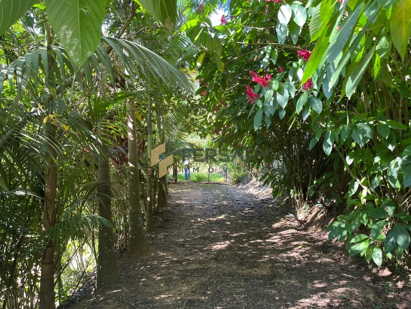 Lindo sitio na Estrada das Areias - Morro do Barão, em Indaial. — foto 2