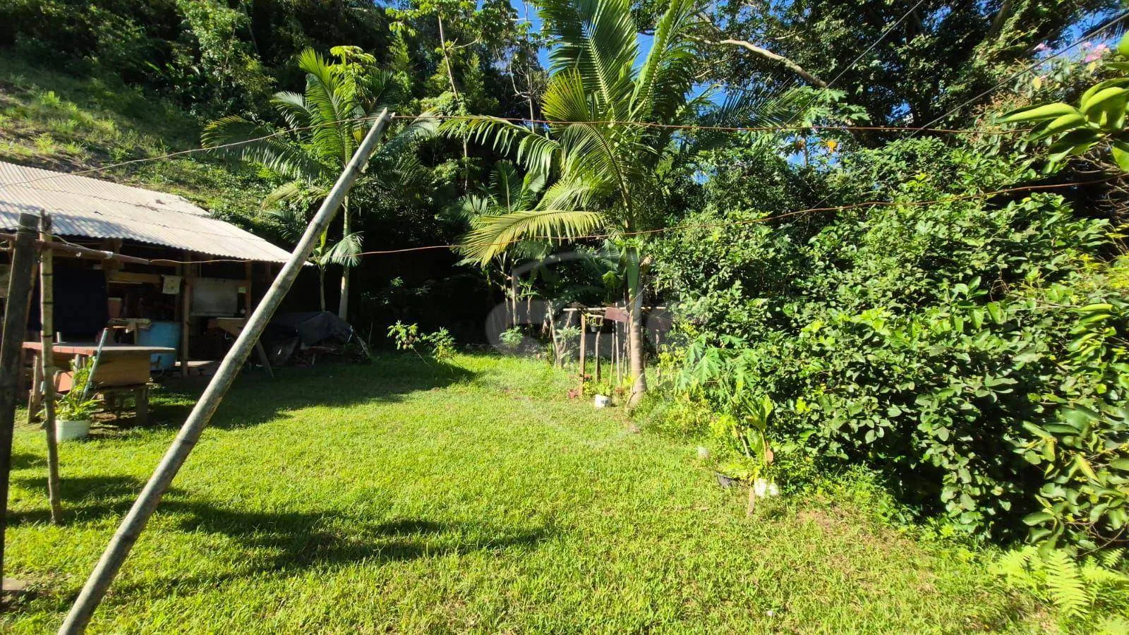 Terreno à venda, 930 m por R$ 2.120.000,00 - Jardim Blumenau - Blumenau/SC — foto 2