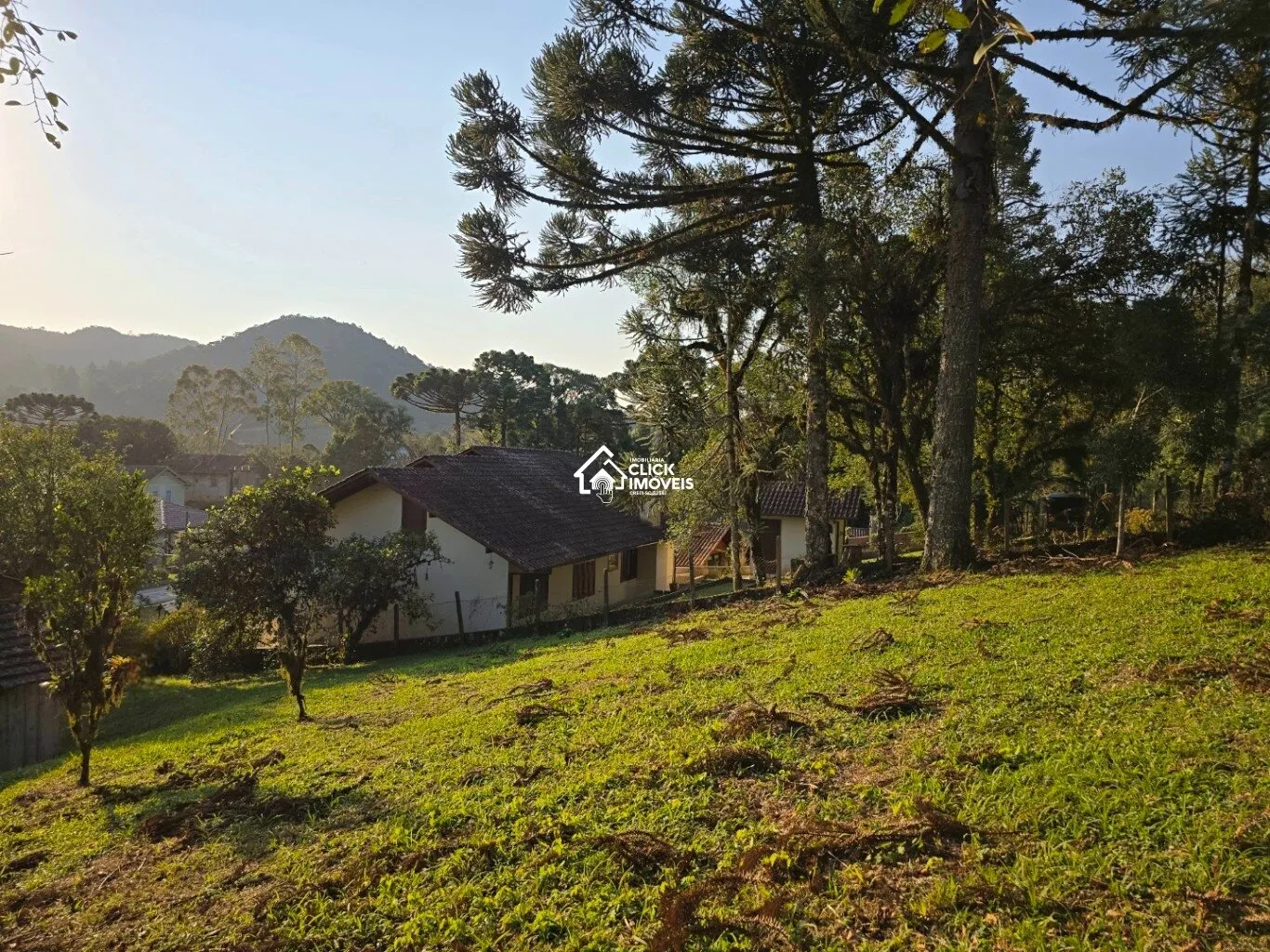 Terreno à venda no bairro Cedro Alto em Rio dos Cedros/SC — foto 4