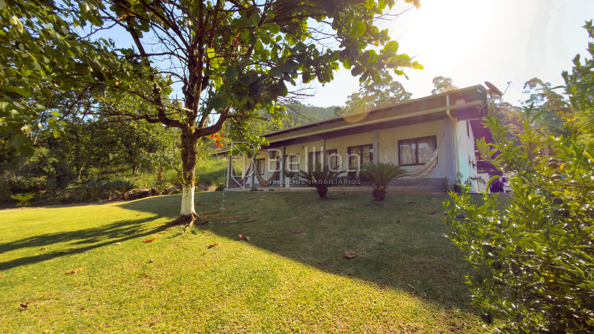 Sítio em Rodeio com ampla área e excelente potencial - foto 1