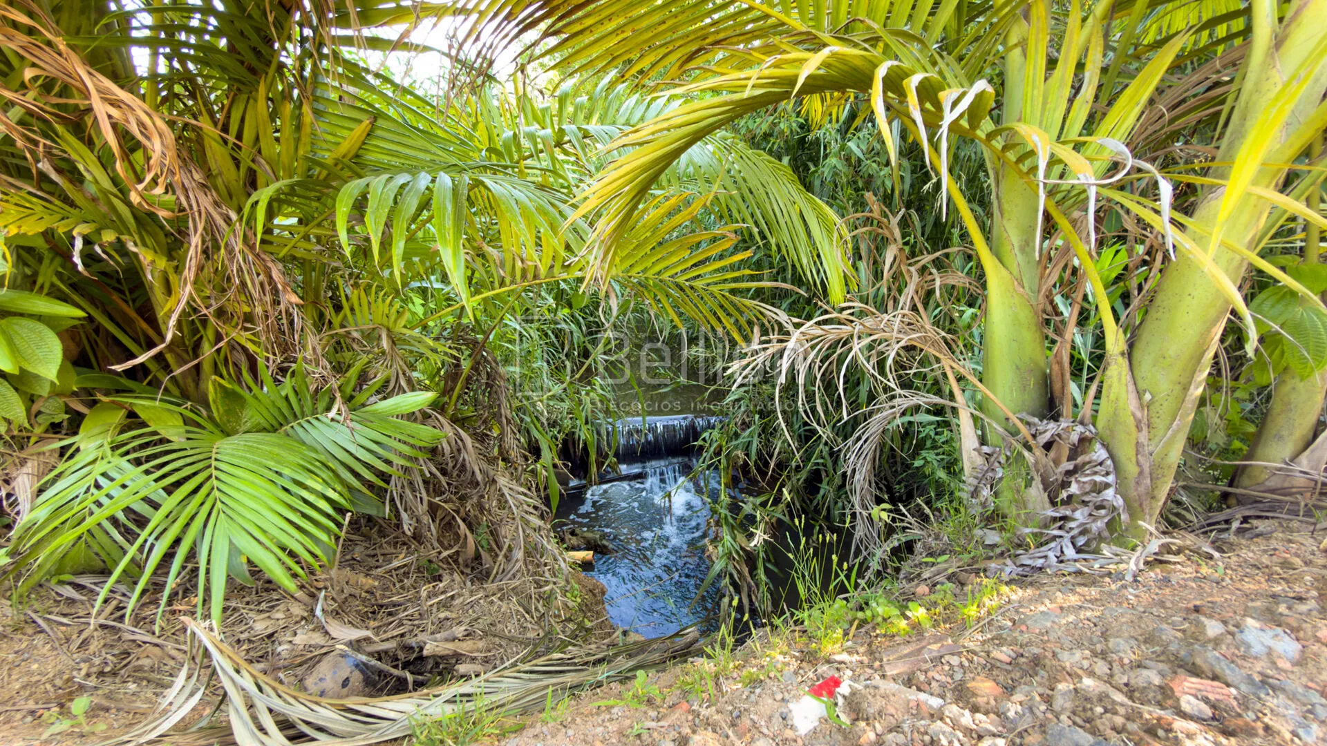 Sítio em Rodeio com ampla área e excelente potencial — foto 2