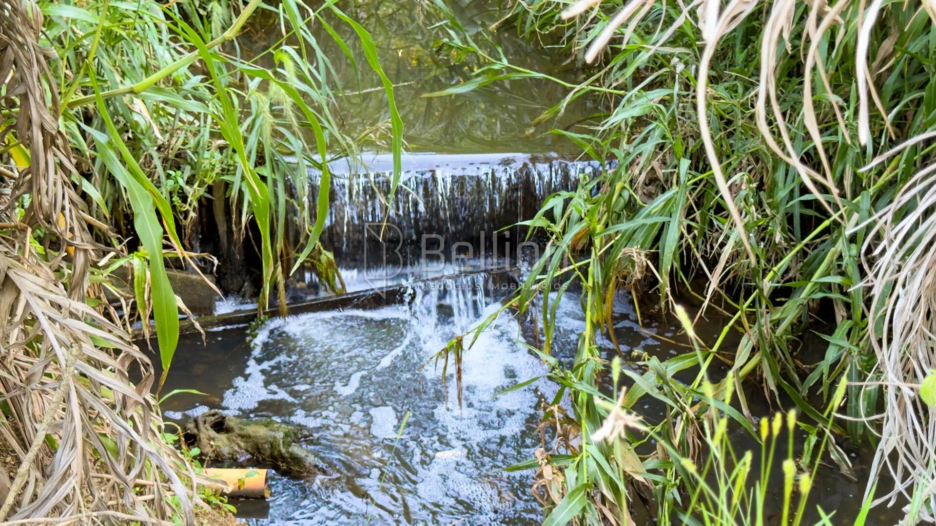 Sítio em Rodeio com ampla área e excelente potencial — foto 7