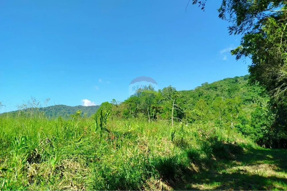 Terreno para chácara em Tiroleses - Timbó/SC — foto 2