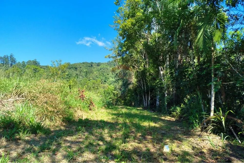 Terreno para chácara em Tiroleses - Timbó/SC — foto 3