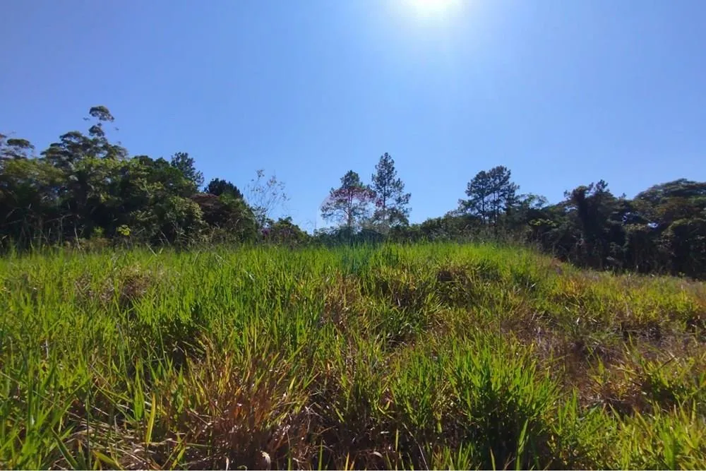 Terreno para chácara em Tiroleses - Timbó/SC — foto 4