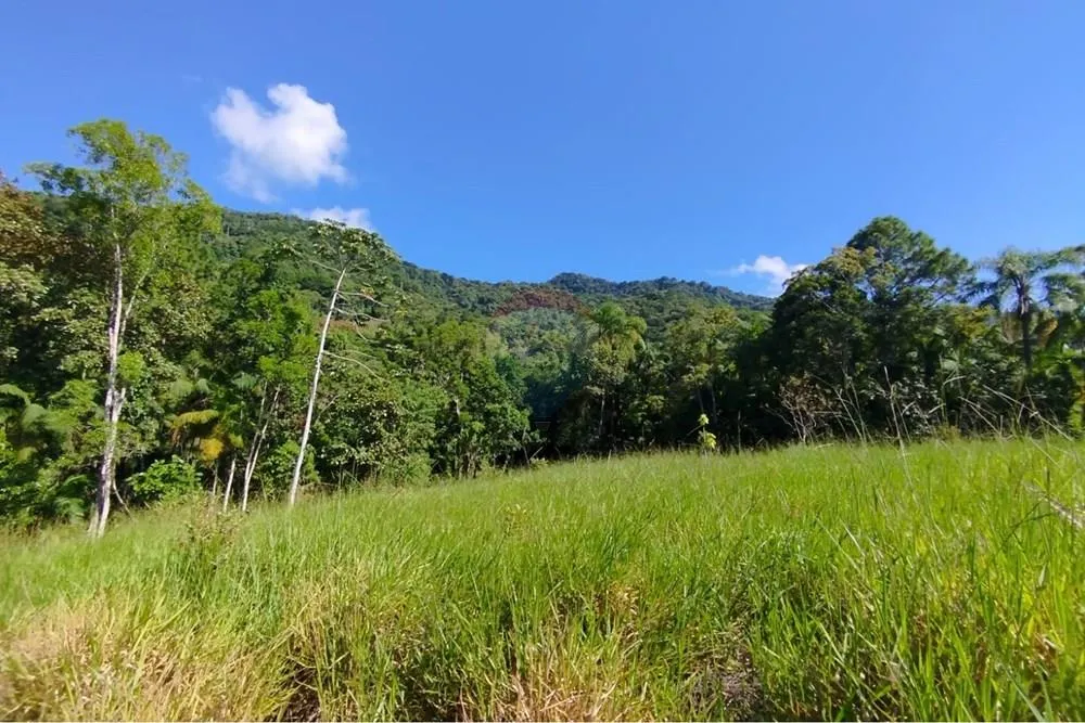 Terreno para chácara em Tiroleses - Timbó/SC — foto 5