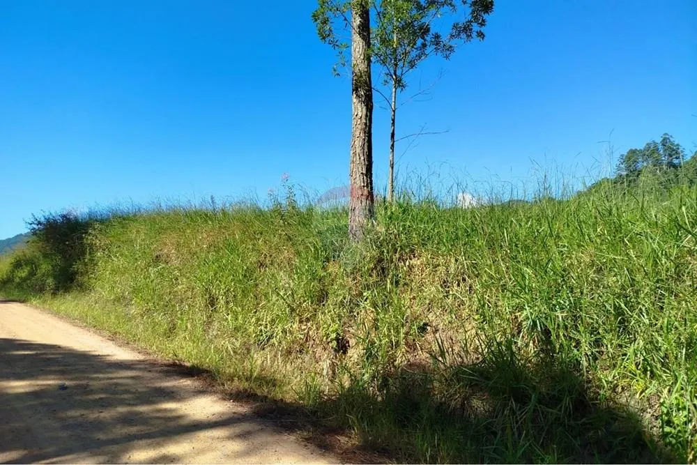 Terreno para chácara em Tiroleses - Timbó/SC — foto 6
