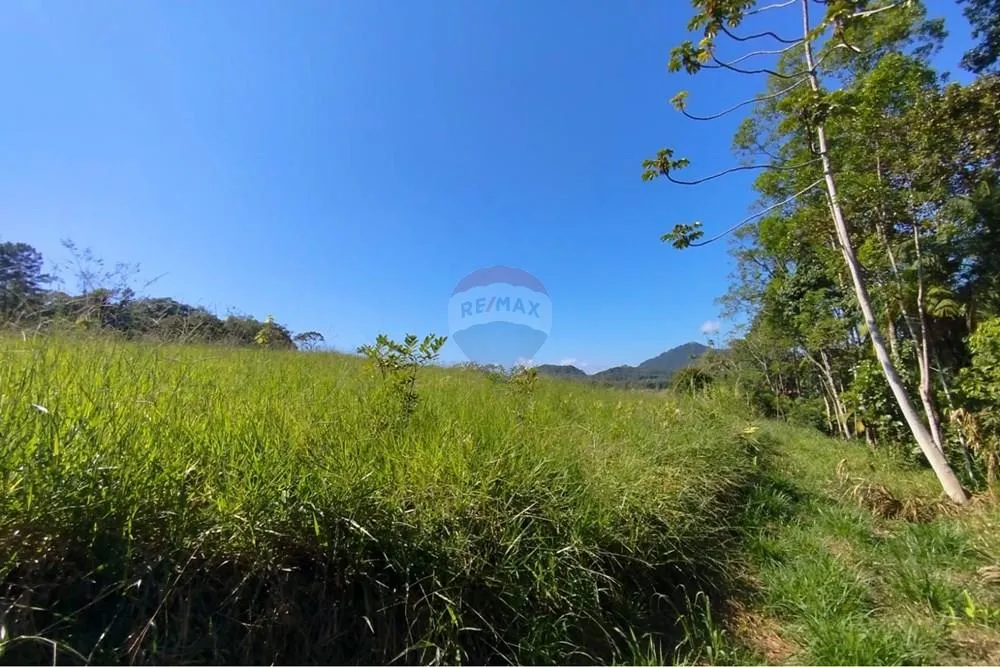 Terreno para chácara em Tiroleses - Timbó/SC — foto 7