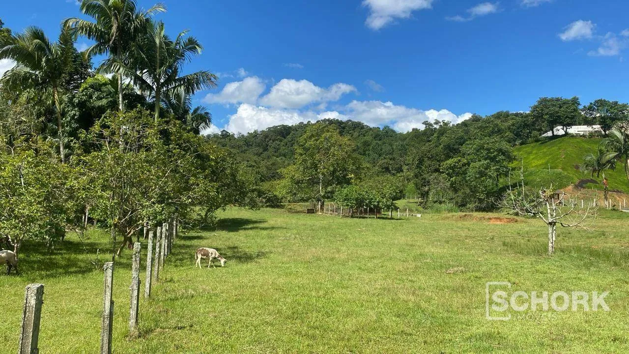 Terreno à venda, 3000 m por R$ 1.500.000,00 - Testo Alto - Pomerode/SC — foto 7