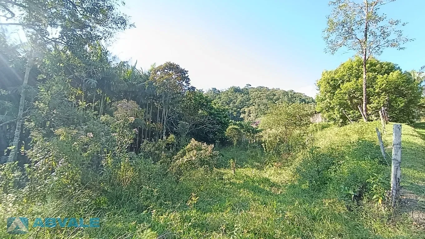 Terreno sítio chácara com 23.564m com água corrente em Gaspar/SC — foto 6