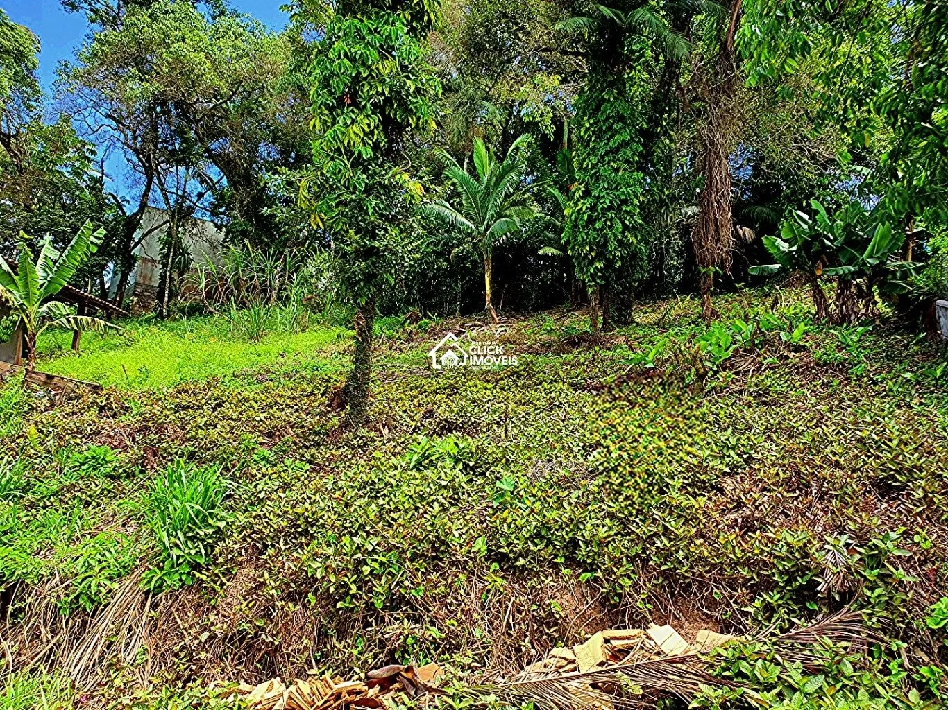 Terreno à venda no bairro Tribess em Blumenau/SC — foto 2