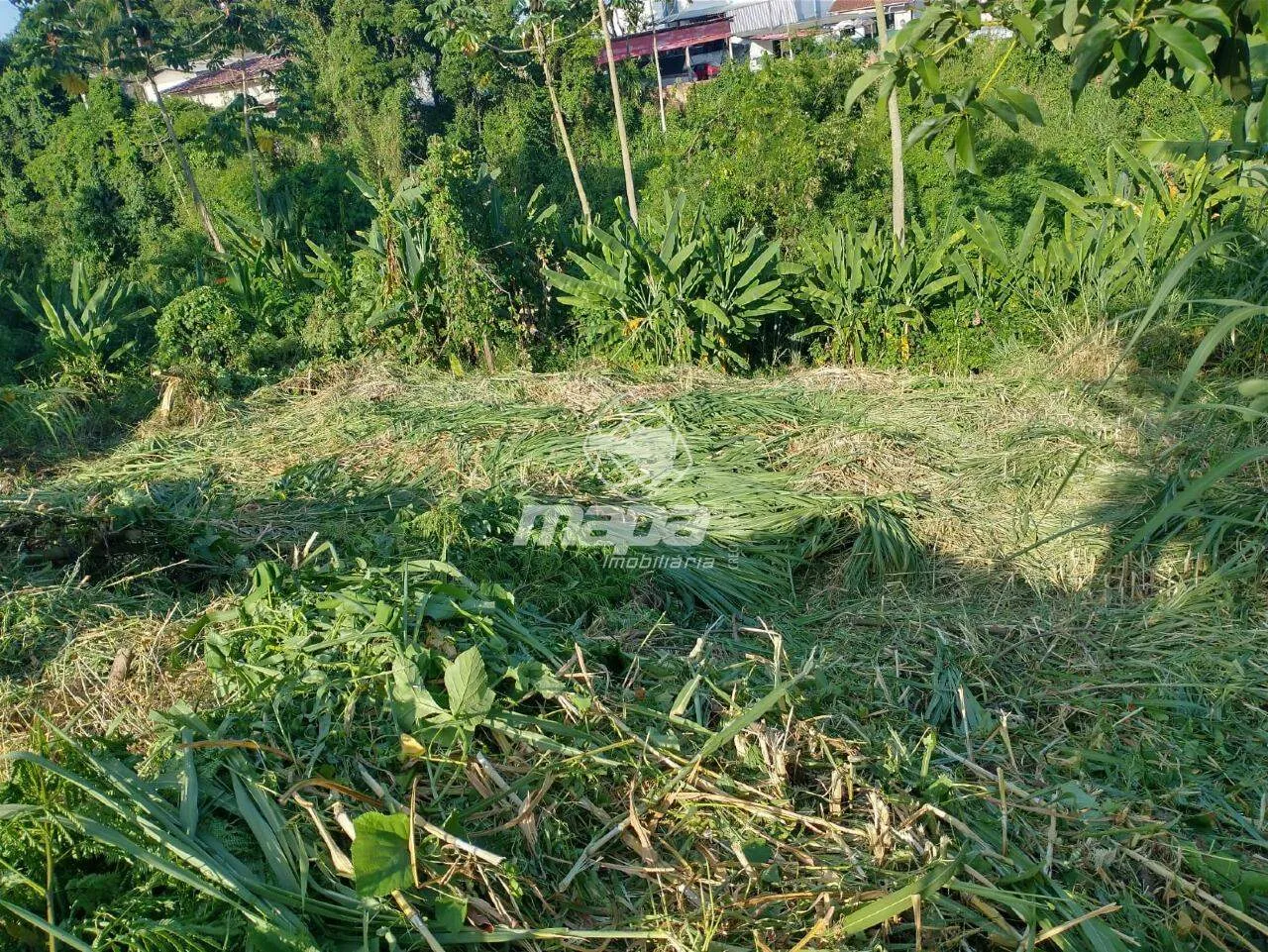 Terreno Urbano 766,29 m em Blumenau - Itoupava Norte | Venda com Financiamento e Permuta — foto 3