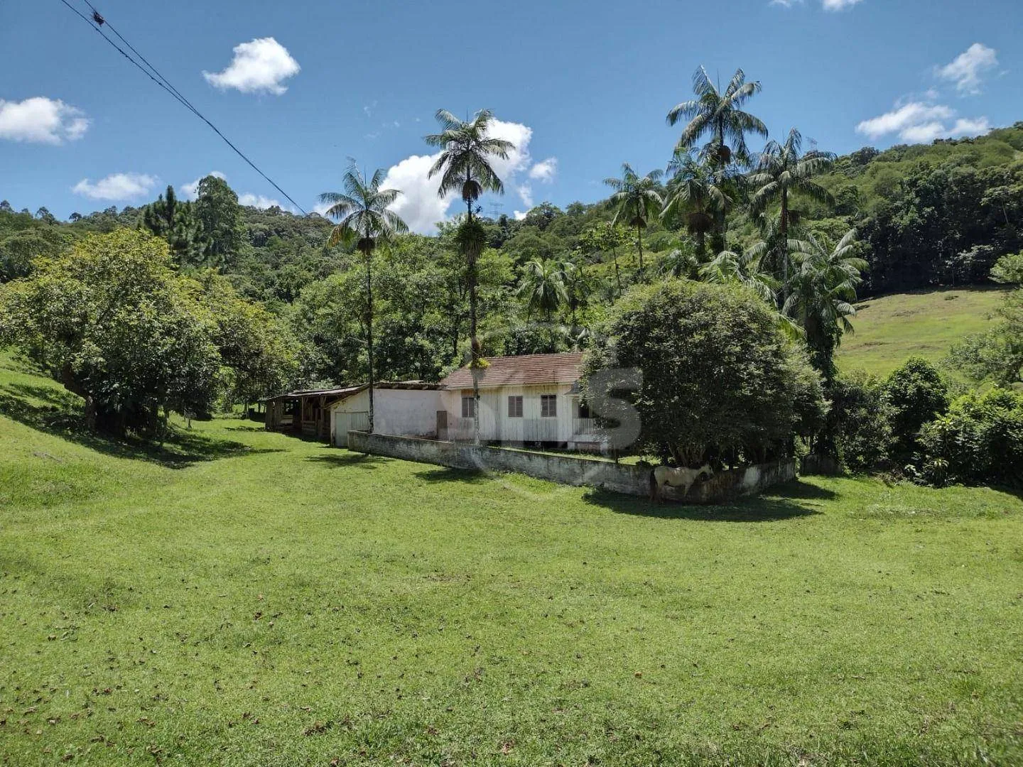 Terreno à venda, 53000 m por R$ 990.000,00 - Belchior Baixo - Gaspar/SC — foto 2