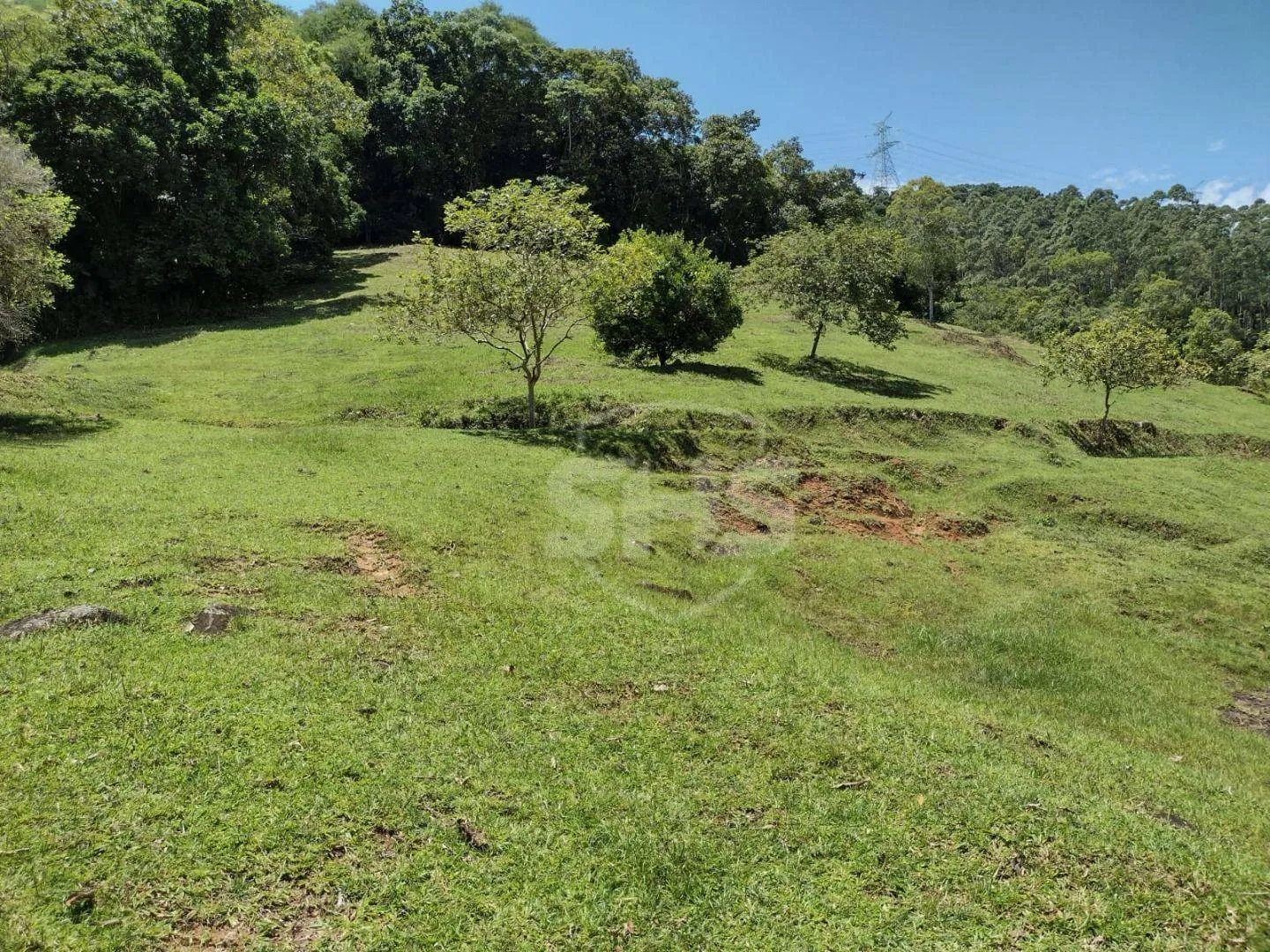 Terreno à venda, 53000 m por R$ 990.000,00 - Belchior Baixo - Gaspar/SC — foto 3