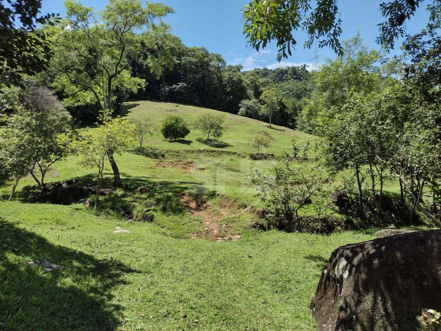 Terreno à venda, 53000 m por R$ 990.000,00 - Belchior Baixo - Gaspar/SC — foto 4