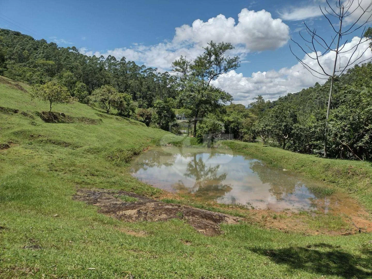 Terreno à venda, 53000 m por R$ 990.000,00 - Belchior Baixo - Gaspar/SC — foto 5