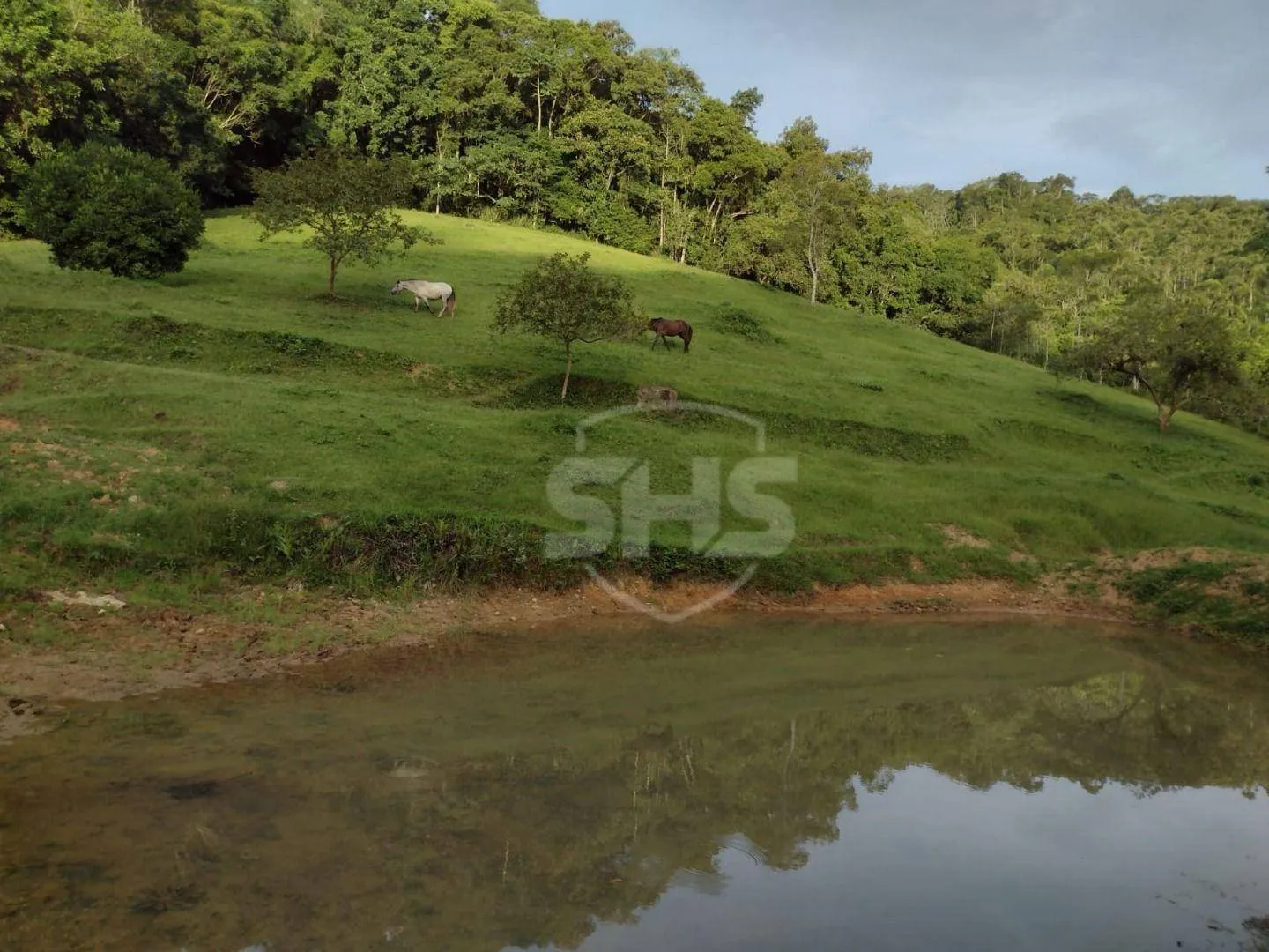 Terreno à venda, 53000 m por R$ 990.000,00 - Belchior Baixo - Gaspar/SC — foto 6