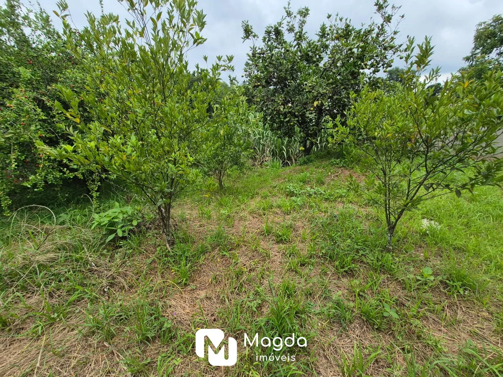 Terreno à venda, 378 m por R$ 390.000,00 - Água Verde - Blumenau/SC — foto 2