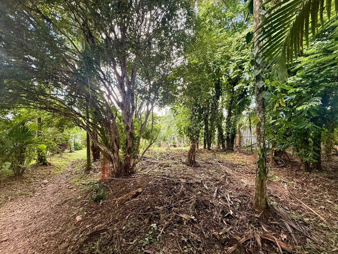 Terreno com 1172m à venda no bairro Santo Antônio em Joinville-SC por R$1.100.000,00. — foto 6