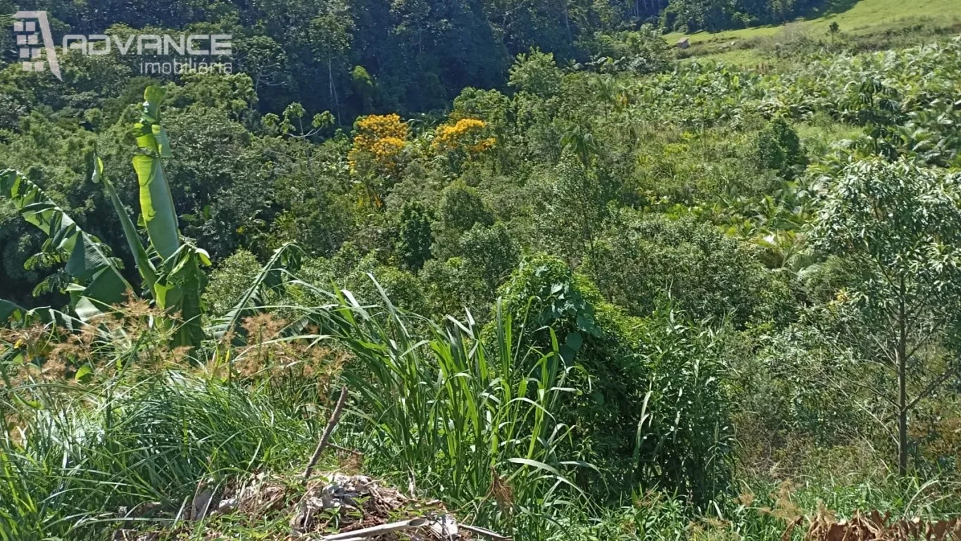 VENDA | Sítio em Blumenau - Vila Itoupava SC — foto 2