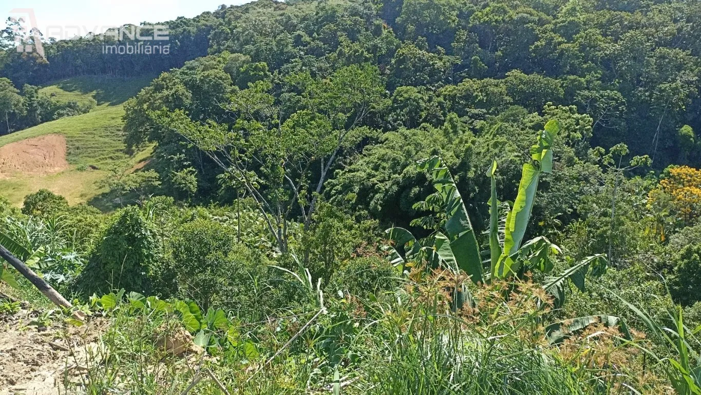 VENDA | Sítio em Blumenau - Vila Itoupava SC — foto 3