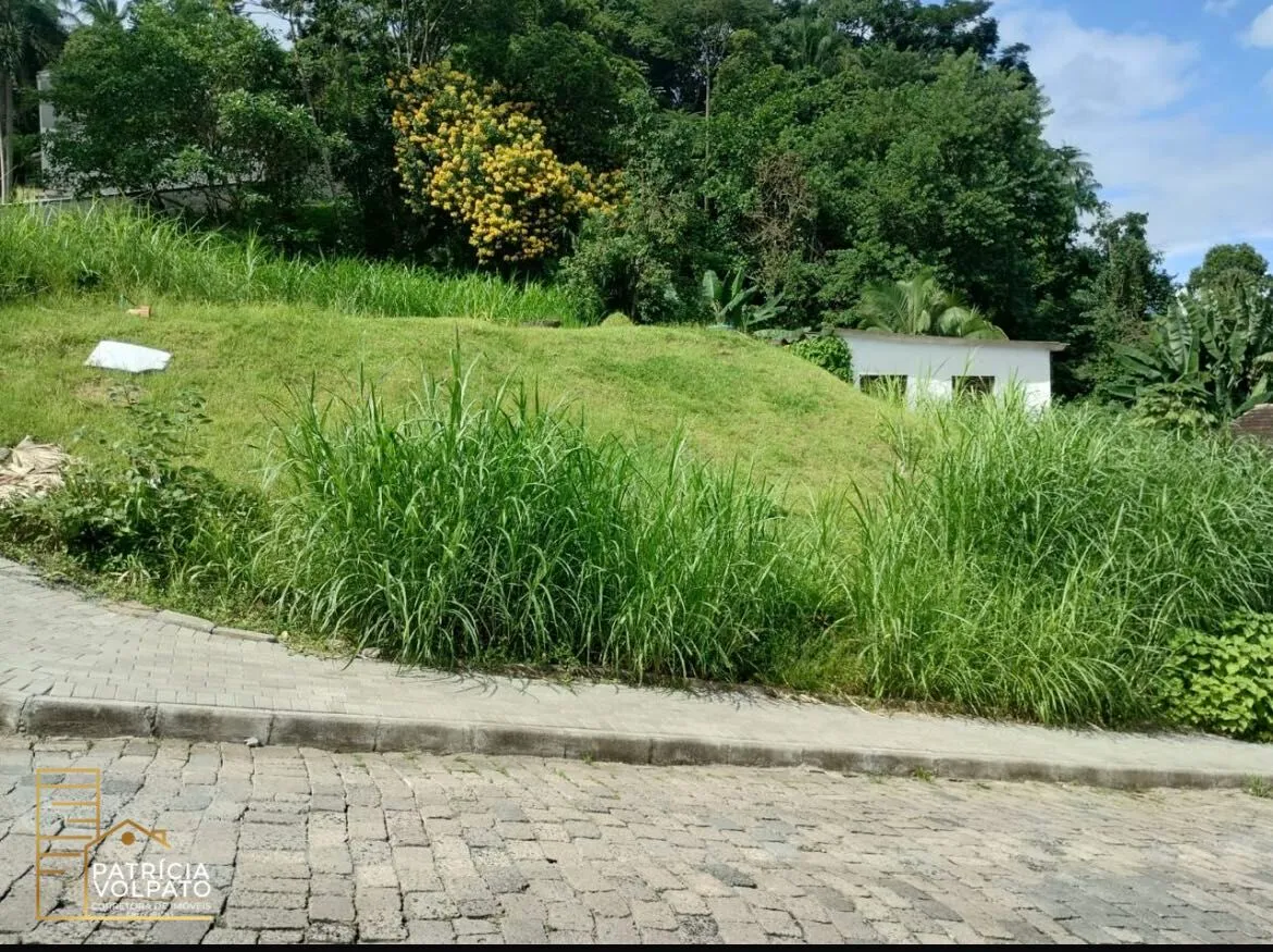 Terreno à venda no bairro Água Verde - Blumenau/SC — foto 2