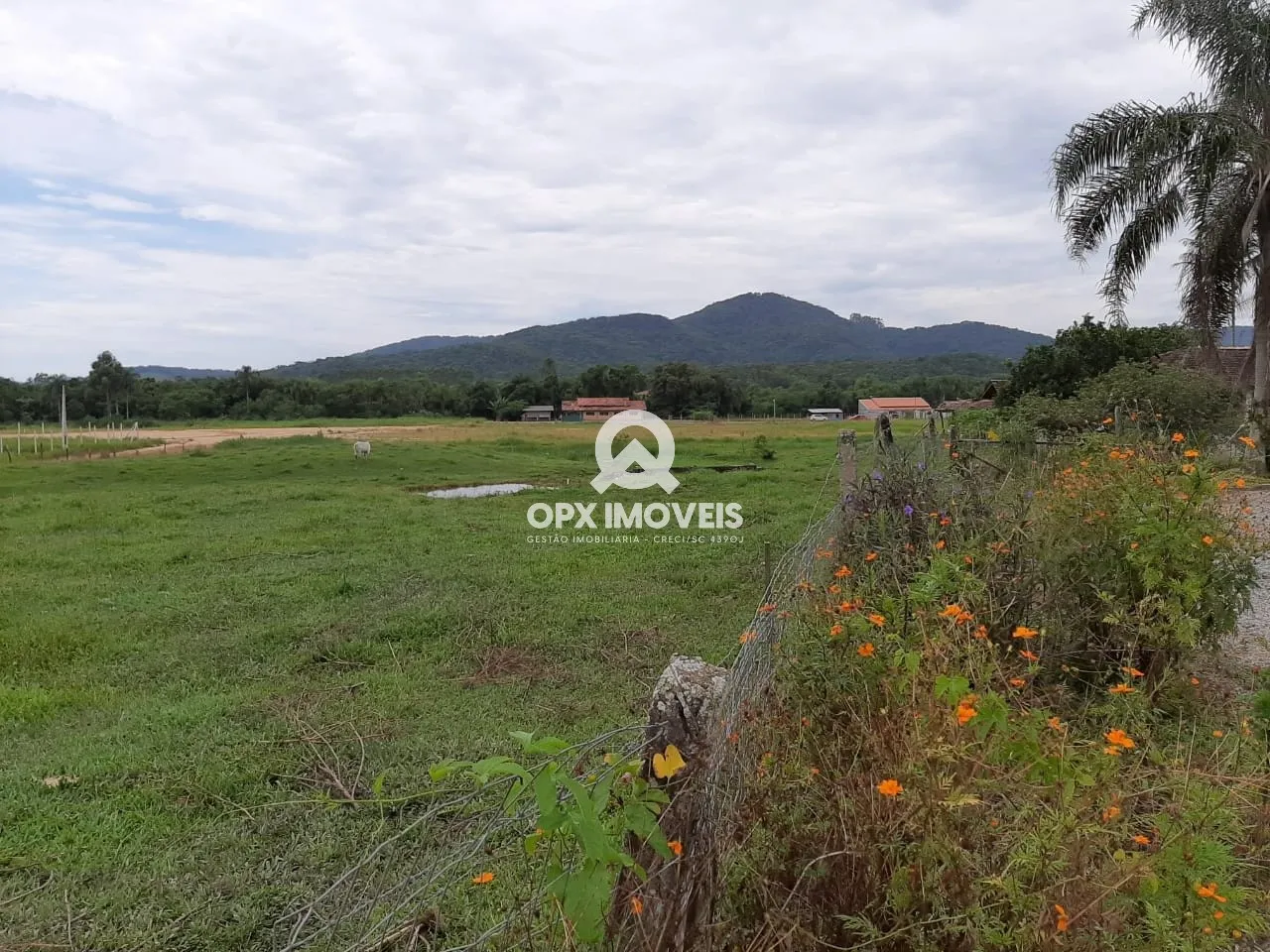 Área estratégica à venda na BR-101 em Balneário Piçarras com 15.000 metro quadrados, frente BR 101 — foto 5