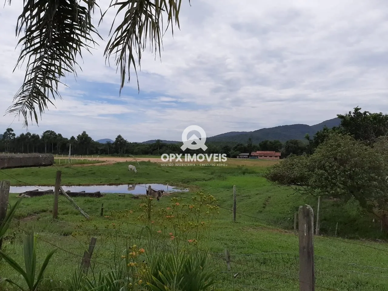 Área estratégica à venda na BR-101 em Balneário Piçarras com 15.000 metro quadrados, frente BR 101 — foto 7