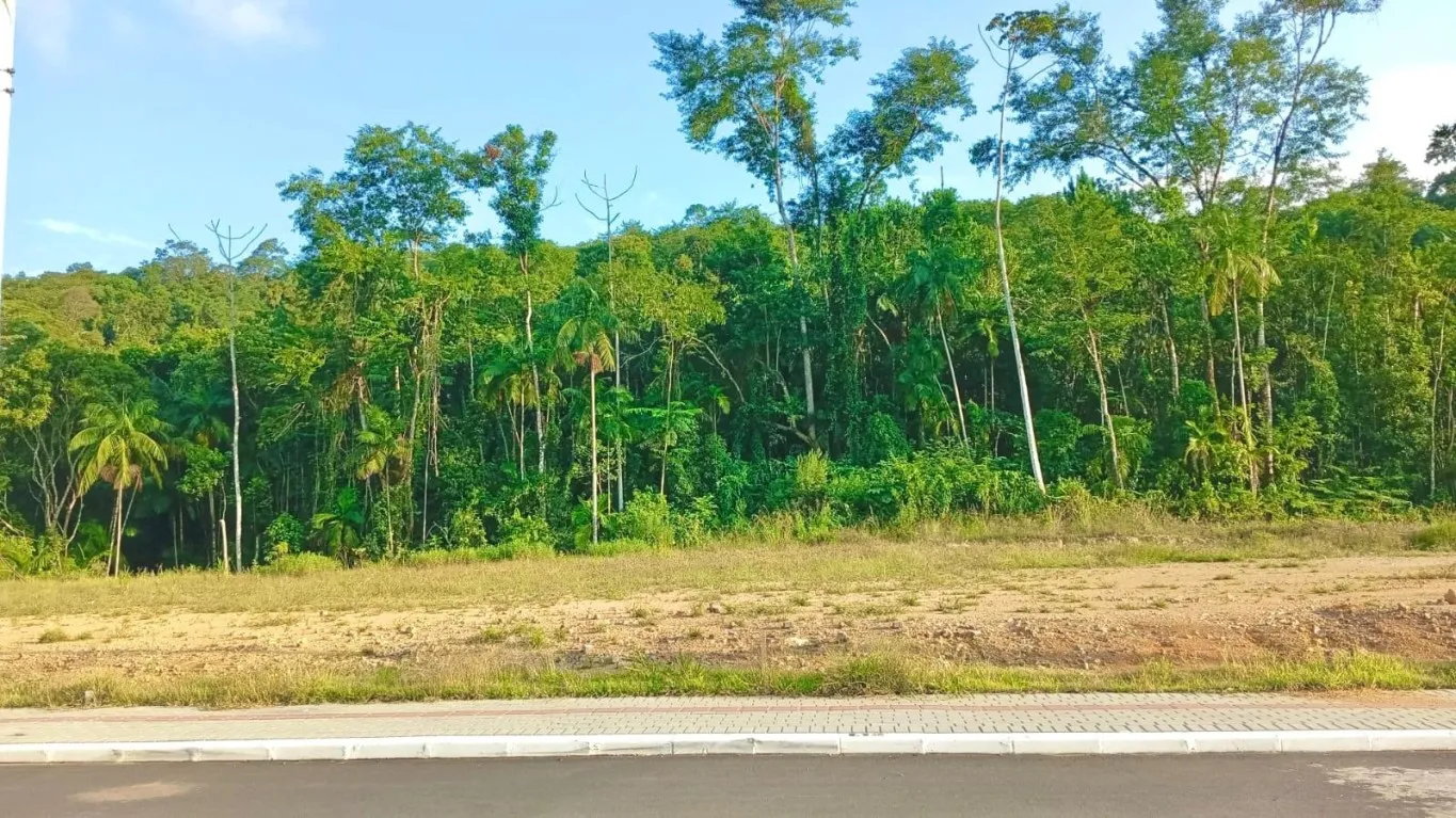 Terreno no Centro de Pomerode - 450m. - foto 1