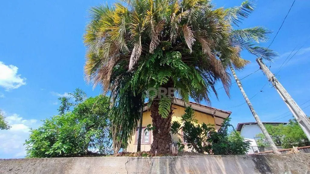 Casa com 3 dormitórios à venda, 146 m por R$ 598.000,00 - Centro - Blumenau/SC - foto 1