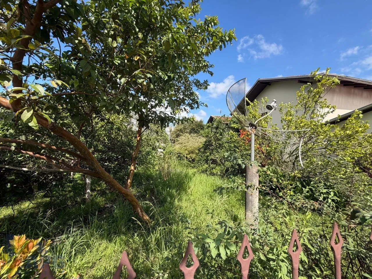 Terreno com 420,00m no bairro Figueira. — foto 3