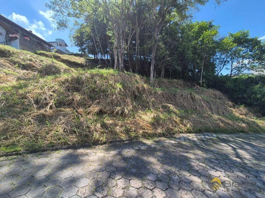 Terreno à venda, 1146 m por R$ 500.000,00 - Escola Agrícola - Blumenau/SC — foto 4