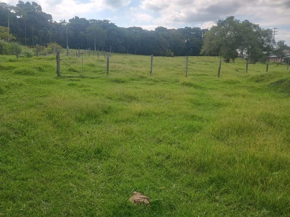 TERRENO COMERCIAL / INDUSTRIAL - 14.000m2 - FRENTE COM 114 METROS — foto 3