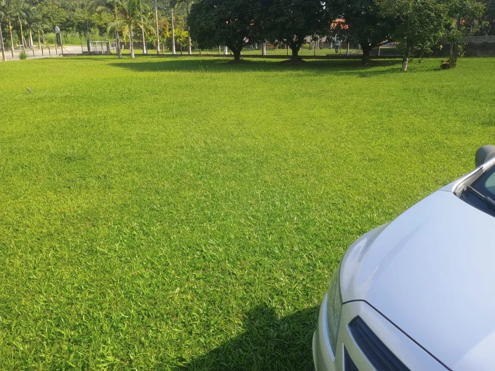 TERRENO COMERCIAL / INDUSTRIAL - 14.000m2 - FRENTE COM 114 METROS — foto 4