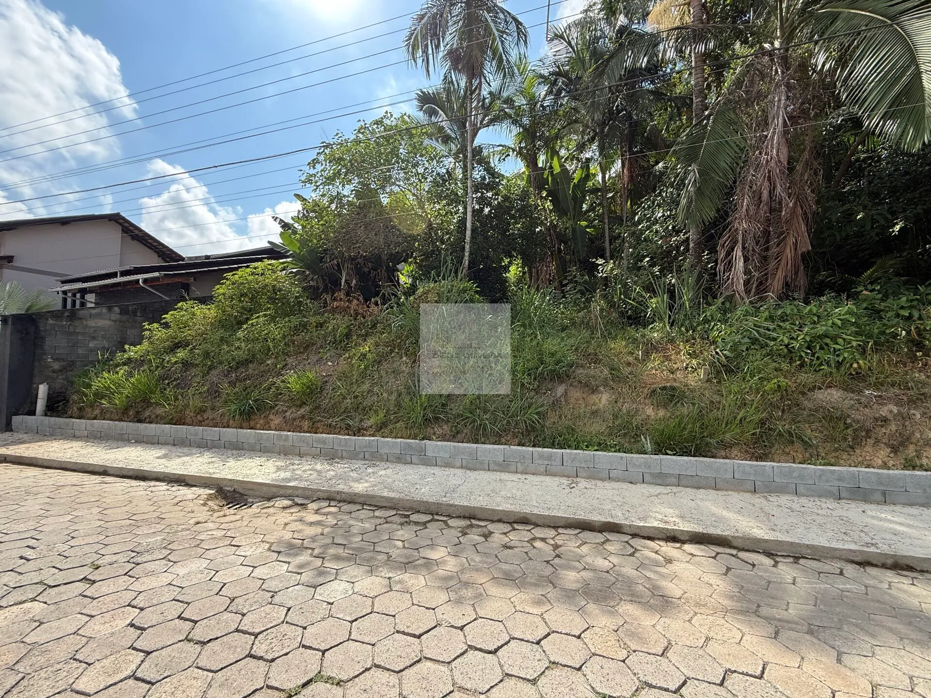 Lindo Terreno em loteamento Residencial no Bairro Tribess em Blumenau-SC — foto 2