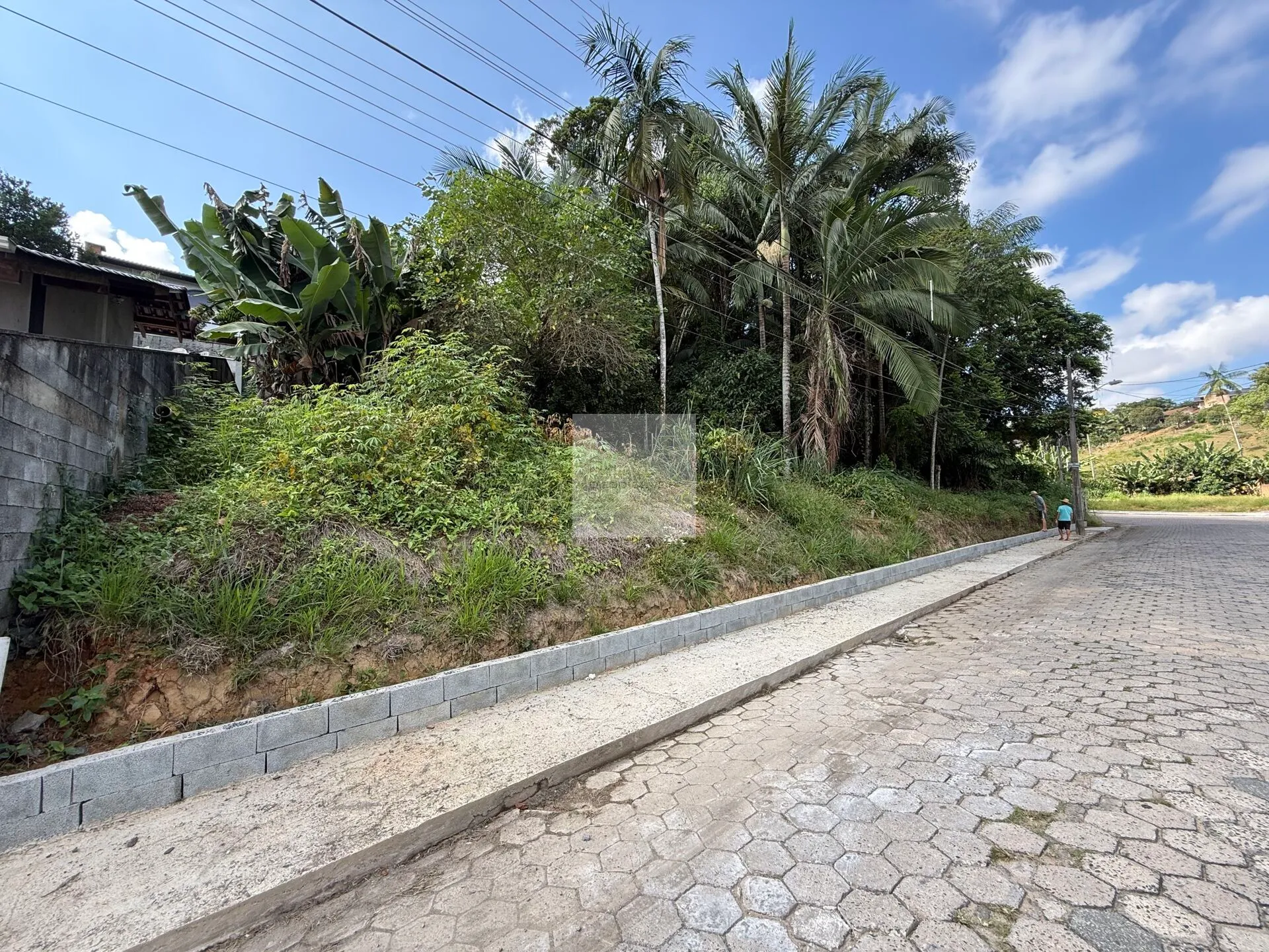 Lindo Terreno em loteamento Residencial no Bairro Tribess em Blumenau-SC — foto 6