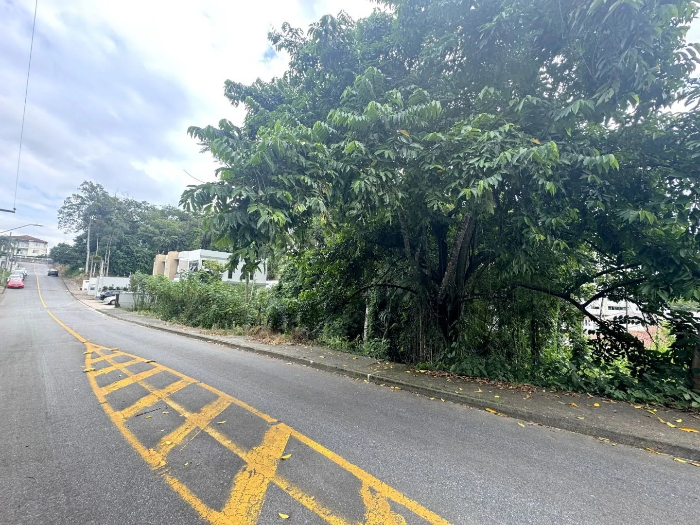 Terreno à venda, 669 m por R$ 330.000 - Escola Agrícola - Blumenau/SC - foto 1