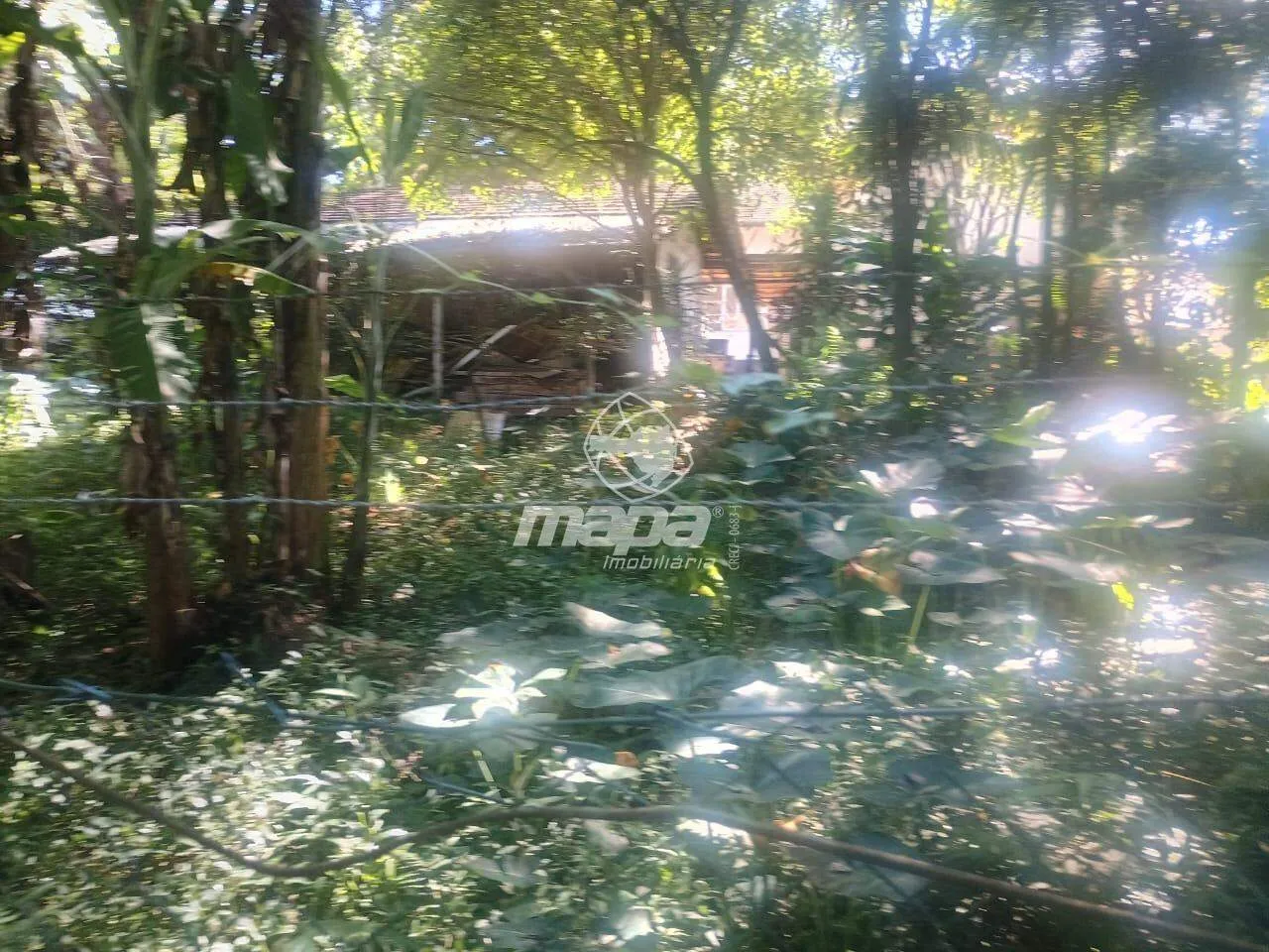 Terreno Urbano à venda, Itoupava Norte - Blumenau/SC — foto 6
