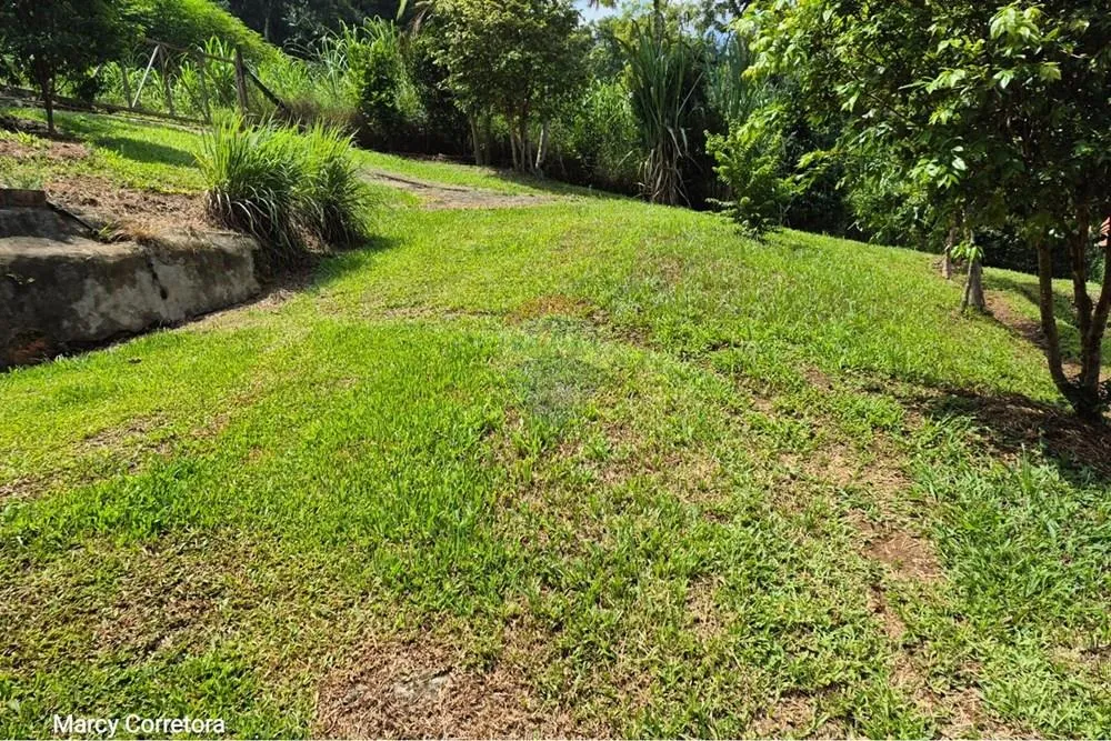 Sítio exclusivo à Venda em Rodeio - SC — foto 6