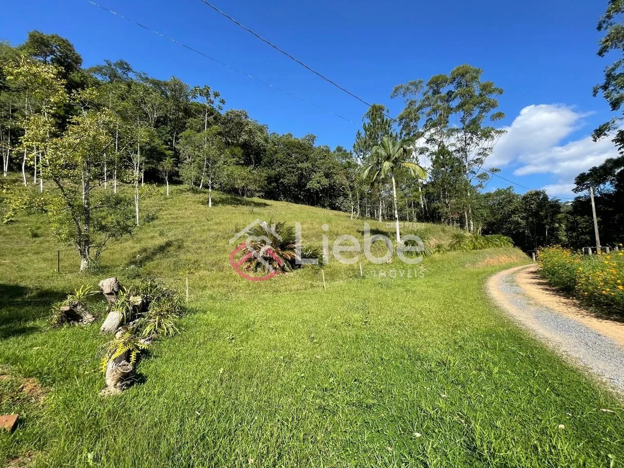 Oportunidade de Terreno com 32.900,99m no Bairro Pomerode Fundos em Pomerode com uma linda vista do vale. - foto 1