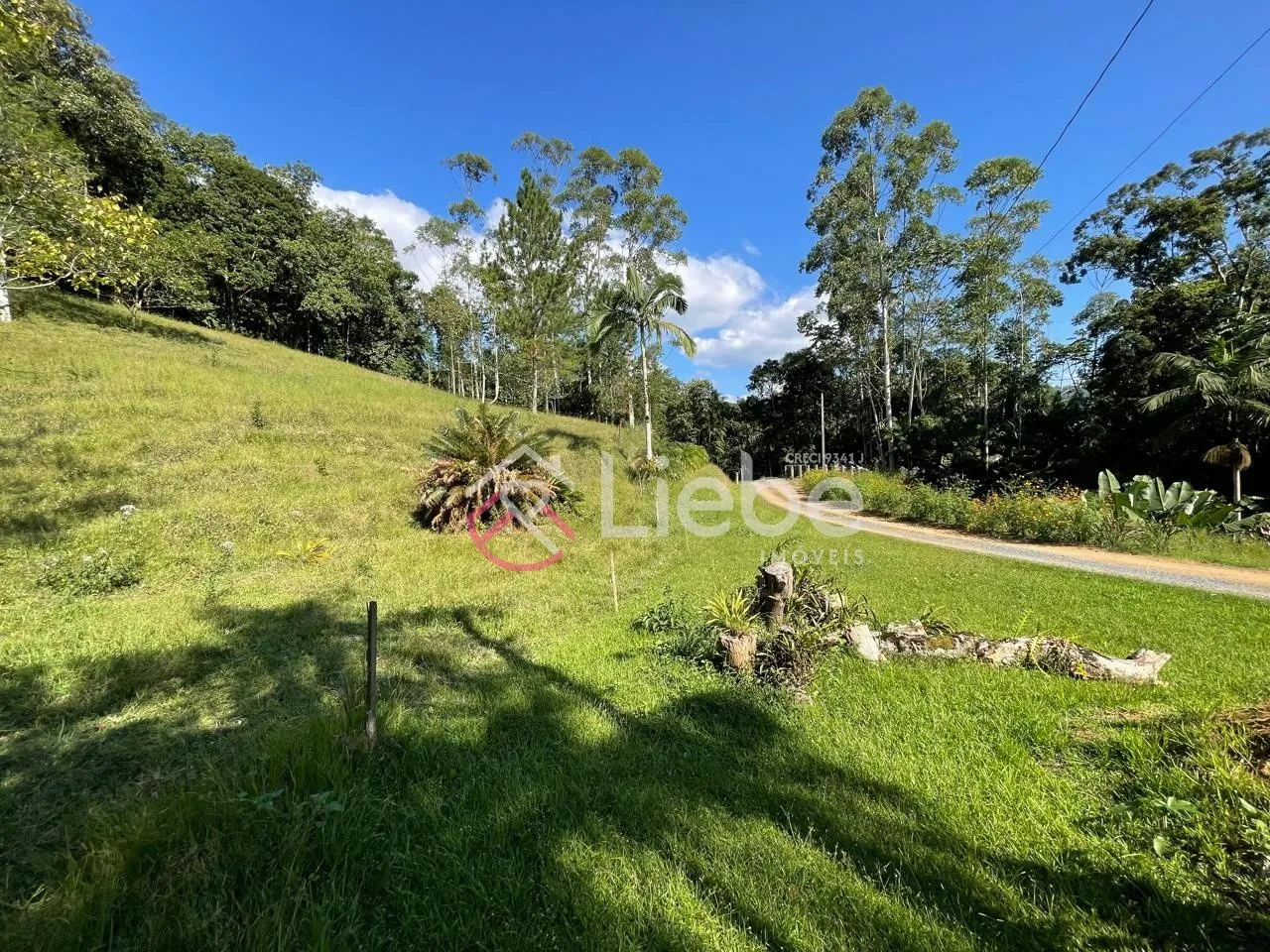 Oportunidade de Terreno com 32.900,99m no Bairro Pomerode Fundos em Pomerode com uma linda vista do vale. — foto 2