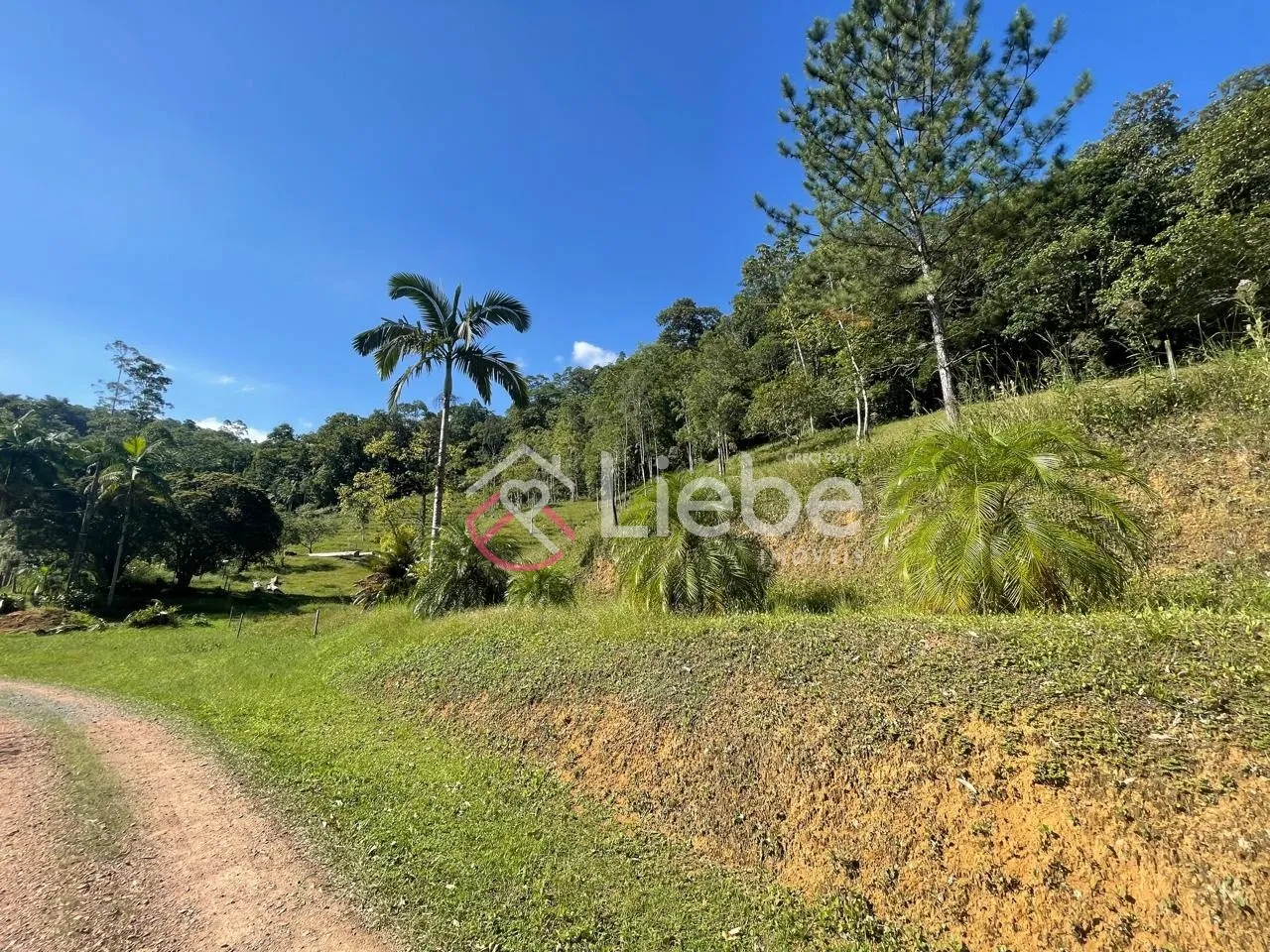 Oportunidade de Terreno com 32.900,99m no Bairro Pomerode Fundos em Pomerode com uma linda vista do vale. — foto 4