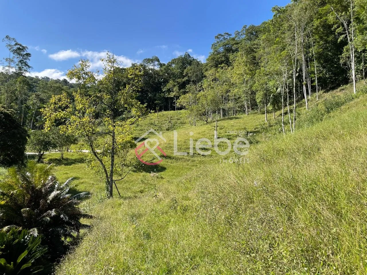 Oportunidade de Terreno com 32.900,99m no Bairro Pomerode Fundos em Pomerode com uma linda vista do vale. — foto 5