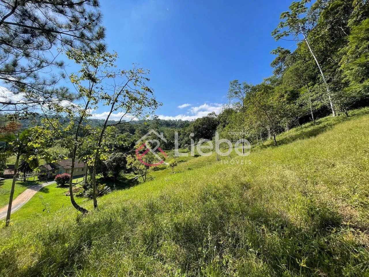 Oportunidade de Terreno com 32.900,99m no Bairro Pomerode Fundos em Pomerode com uma linda vista do vale. — foto 6