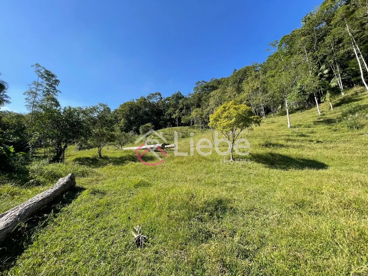 Oportunidade de Terreno com 32.900,99m no Bairro Pomerode Fundos em Pomerode com uma linda vista do vale. — foto 7