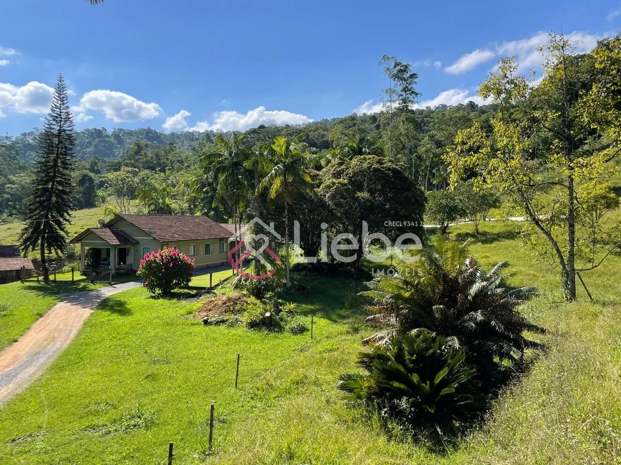 Lindo SÍTIO no Bairro Pomerode Fundos com uma casa de alvenaria de 120m na cidade de Pomerode com 28.157,28m de área. - foto 1